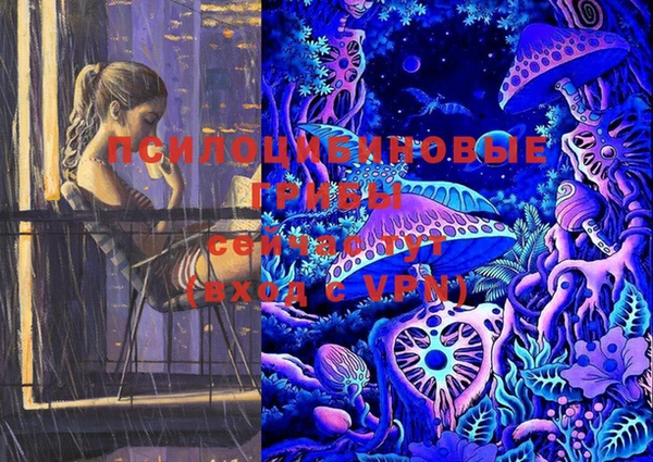 гашик Покачи