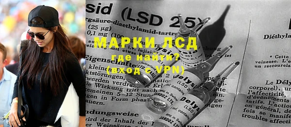 PSILOCYBIN Весьегонск