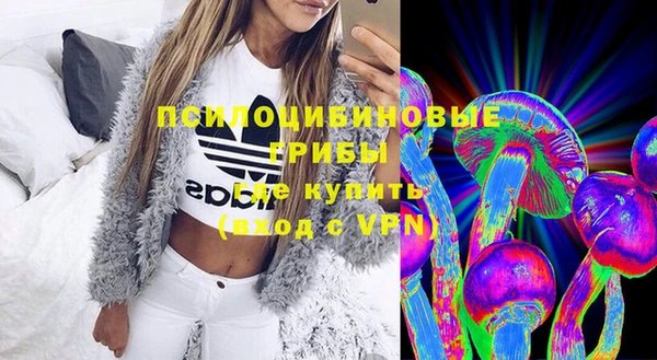 PSILOCYBIN Весьегонск