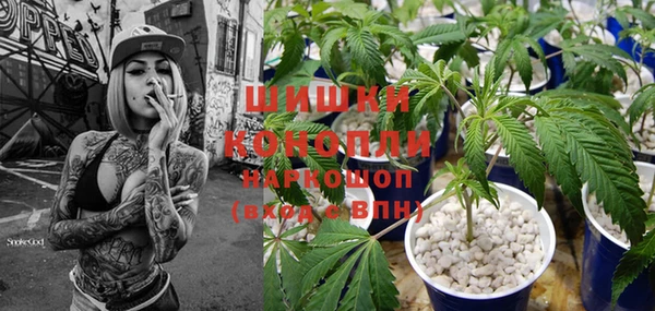 метадон Пестово